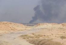 Egypt to back deal between Damascus and SDF to prevent Turkish Attack